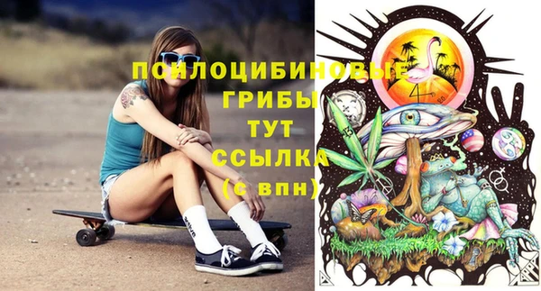 ешки Строитель
